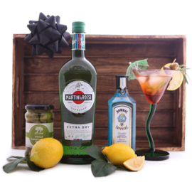 Martini Gift Set